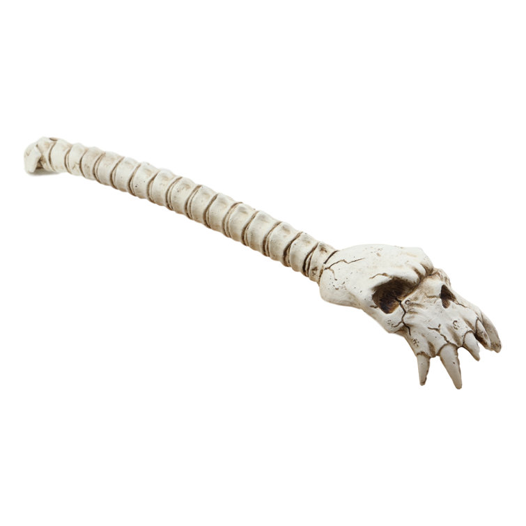 World Menagerie Quinnes Spine Skeleton Hand Back Scratcher Sculpture